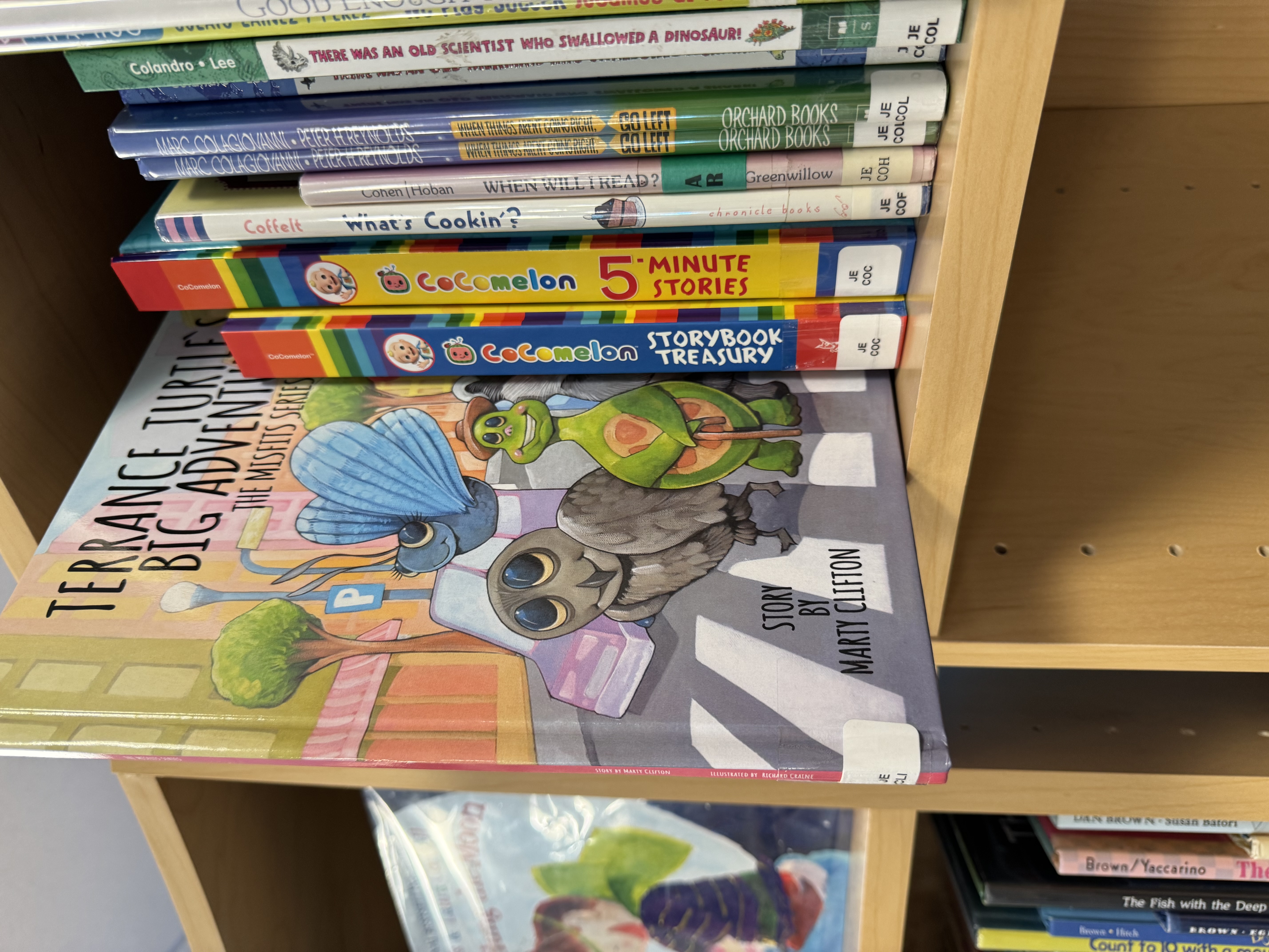 Image Related to the Content on this Web Page